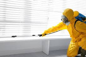 Real Estate Pest Inspections in Ruch, OR